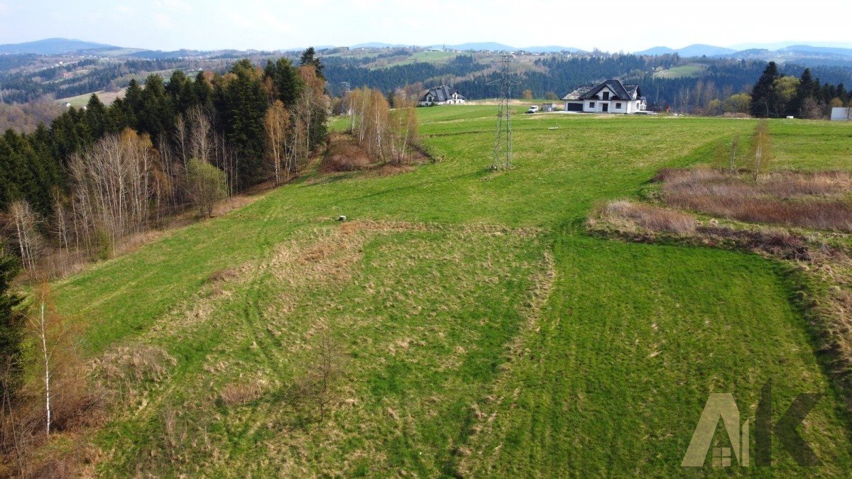 Działka budowlana na sprzedaż Paszyn  6 000m2 Foto 6