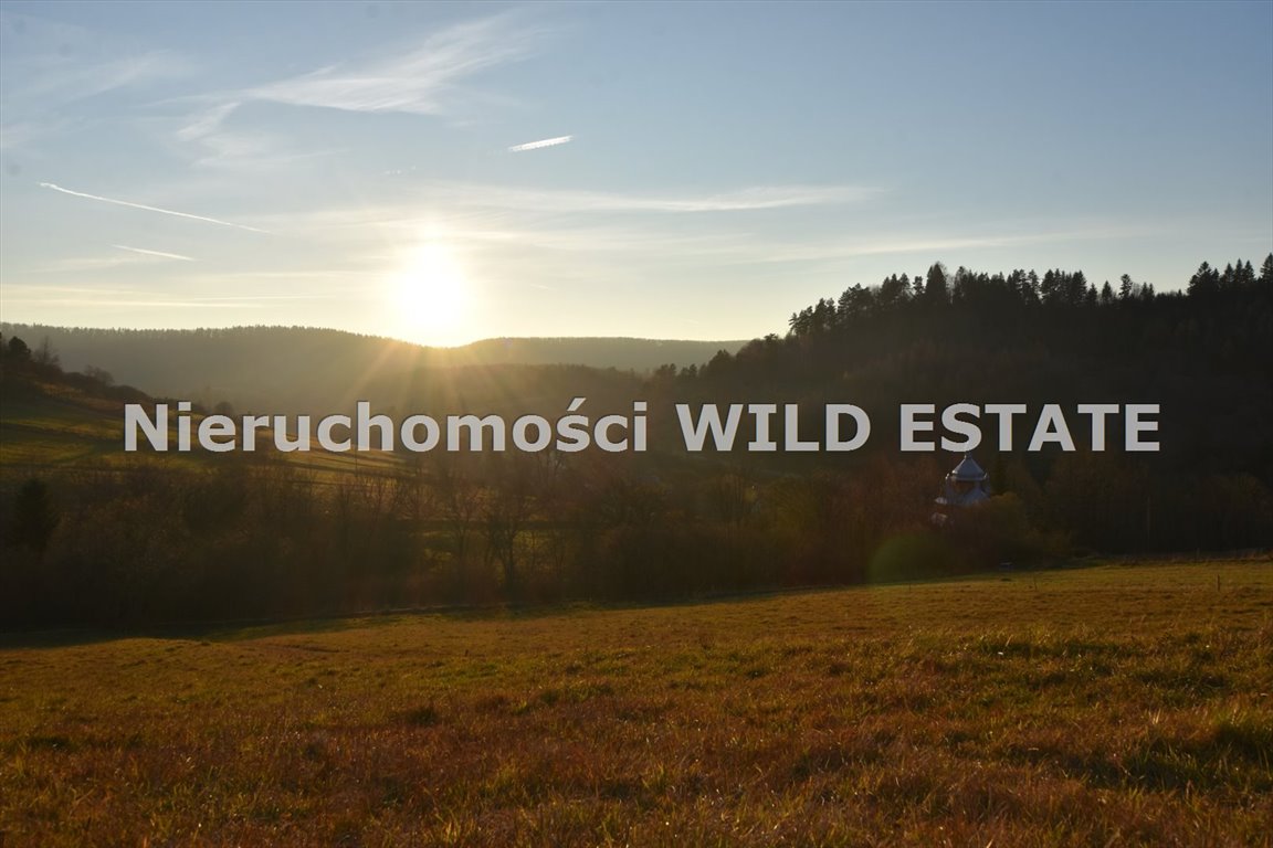 Działka 2 ha z widokami i warunkami zabudowy - polecam! Ustrzyki Dolne, Hoszów  20 000m2 Foto 1