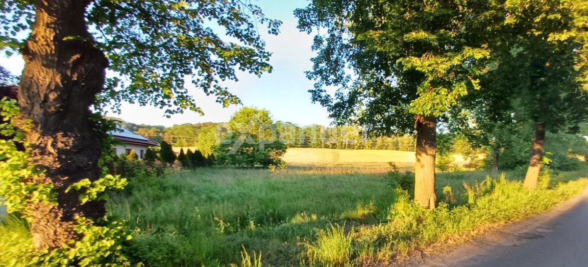 Działka budowlana na sprzedaż Świecko  1 868m2 Foto 5