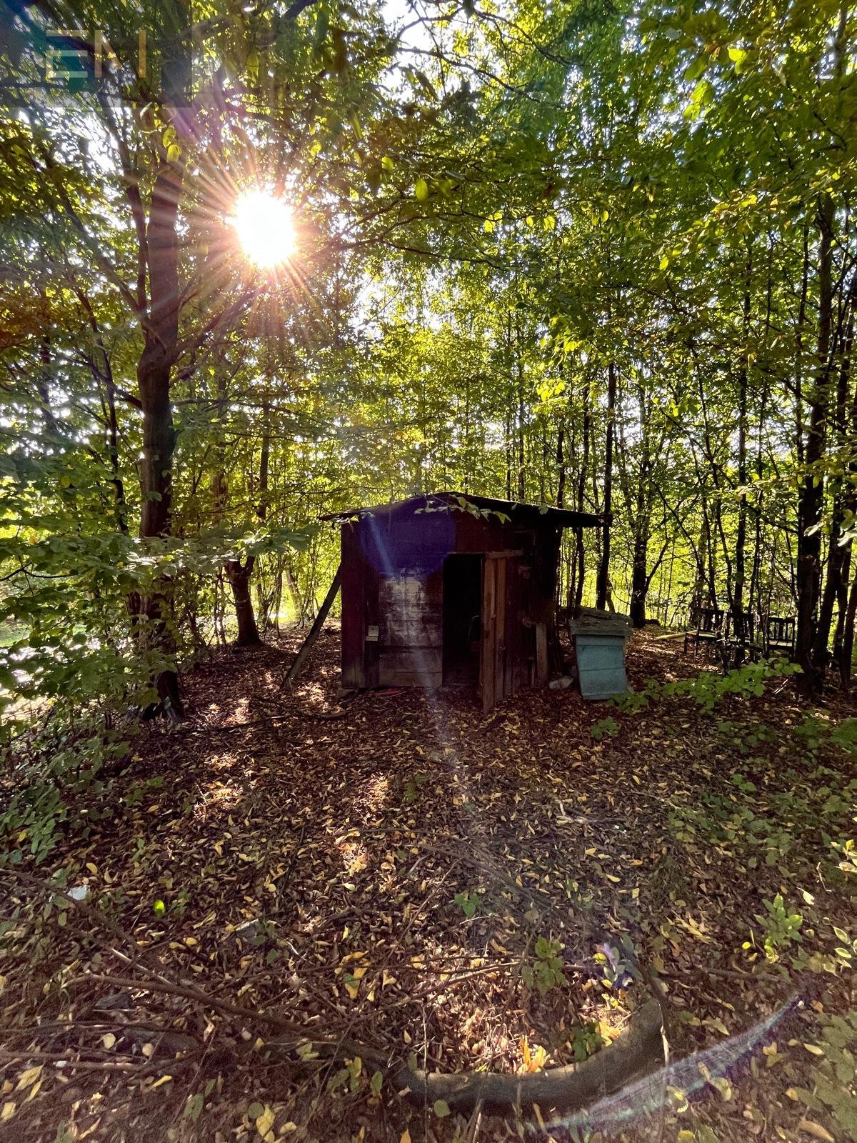 Dom na sprzedaż Markuszowa  89m2 Foto 6