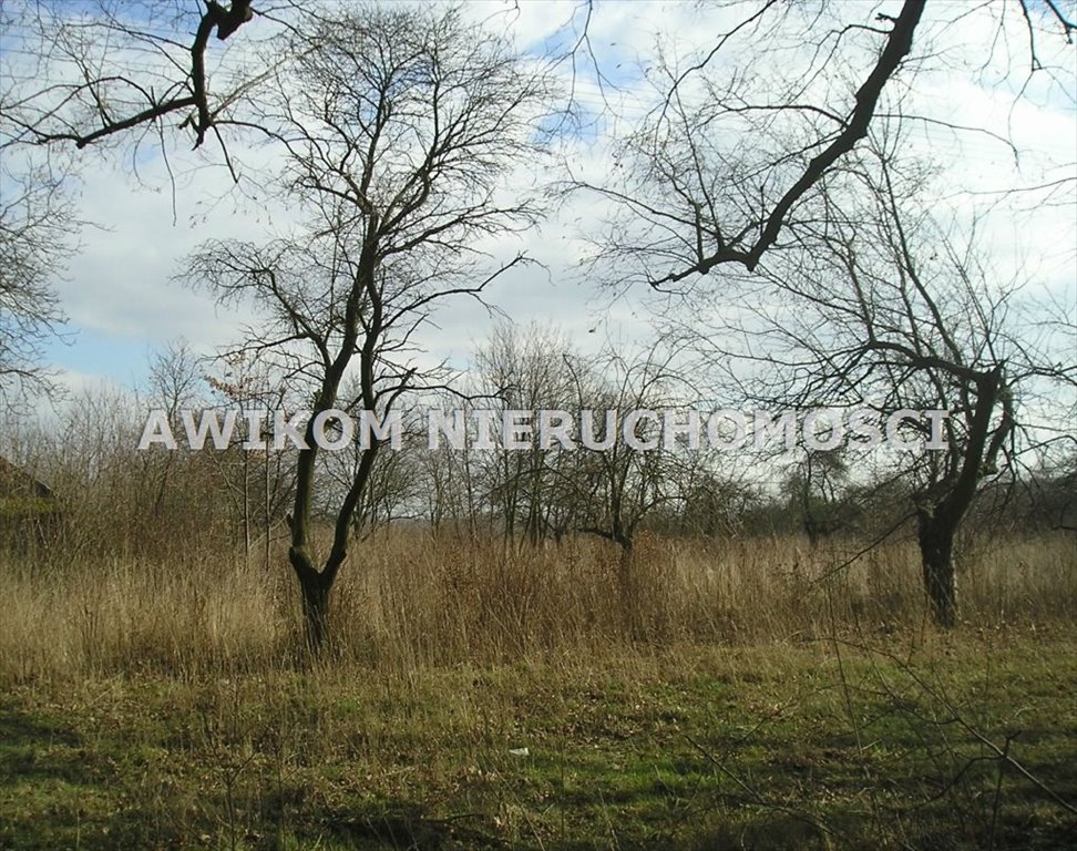 Działka rolna na sprzedaż Skierniewice, Dębowa Góra  16 511m2 Foto 4