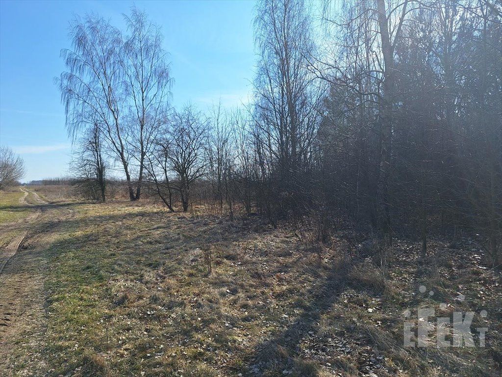 Działka budowlana na sprzedaż Lisna  3 000m2 Foto 1
