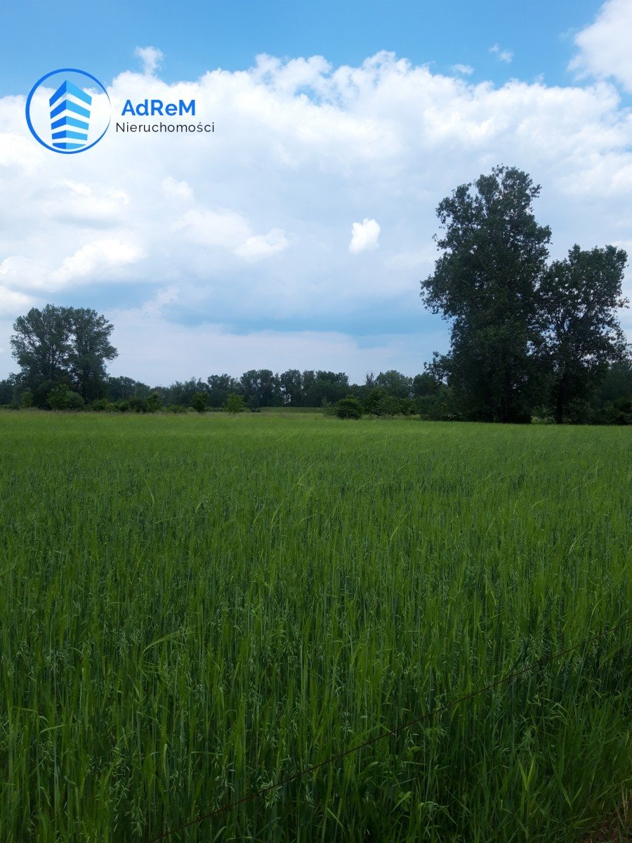 Działka rolna 15 869 m² w Podłęczu – idealna pod działalność Podłęcze  15 869m2 Foto 1