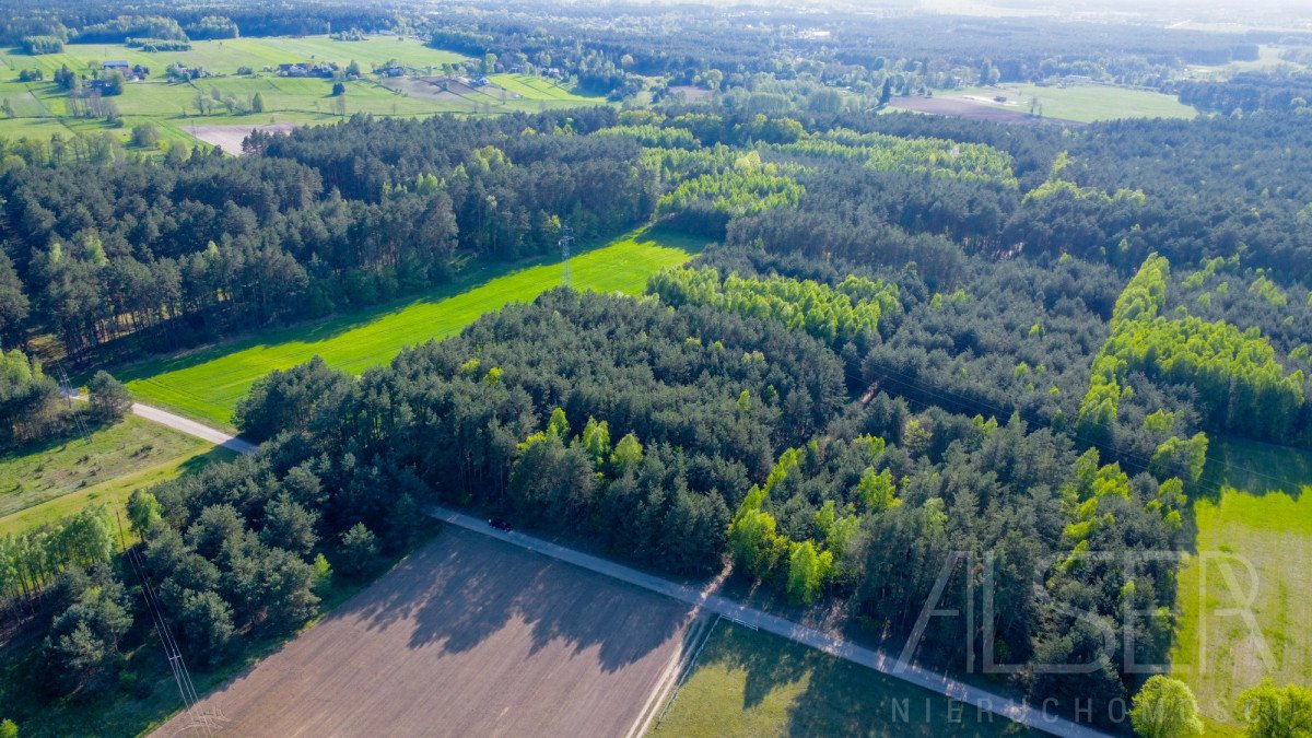 Działka rekreacyjna na sprzedaż Nowe Bosewo, Lipnik  1 245m2 Foto 12