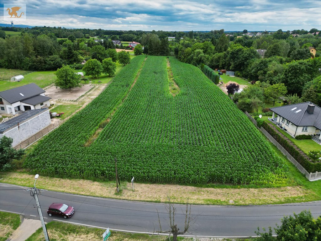 Działka 4218 m² w Brzeszczach (blisko zieleni i zabudowy) Brzeszcze, Nosala  4 218m2 Foto 1