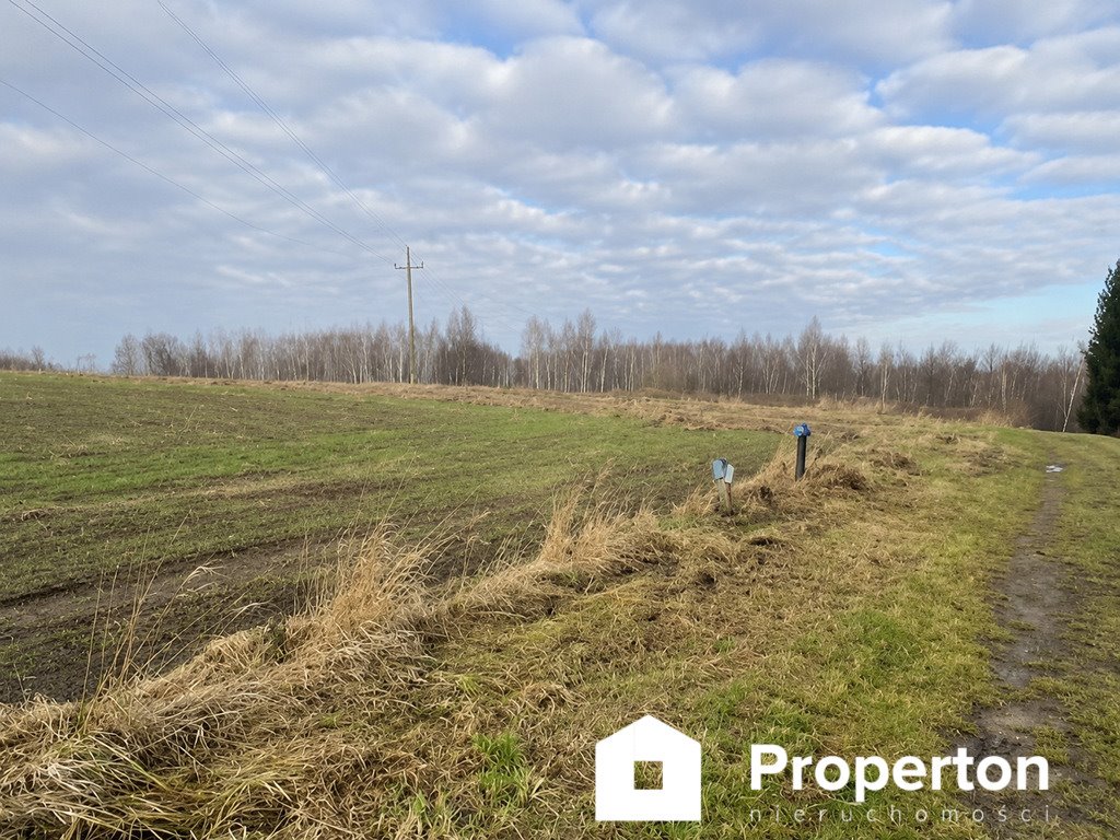 Działka rolna 1,15ha z mediami i widokami w Rzeczycy Rzeczyca  11 478m2 Foto 1