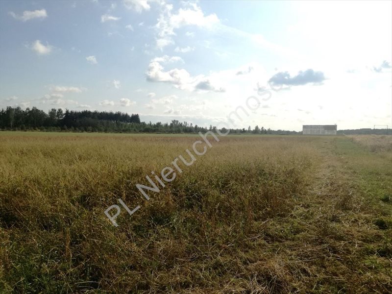 Działka rolna 4 ha przy Trasie Katowickiej z mediami Krze Duże  40 600m2 Foto 1