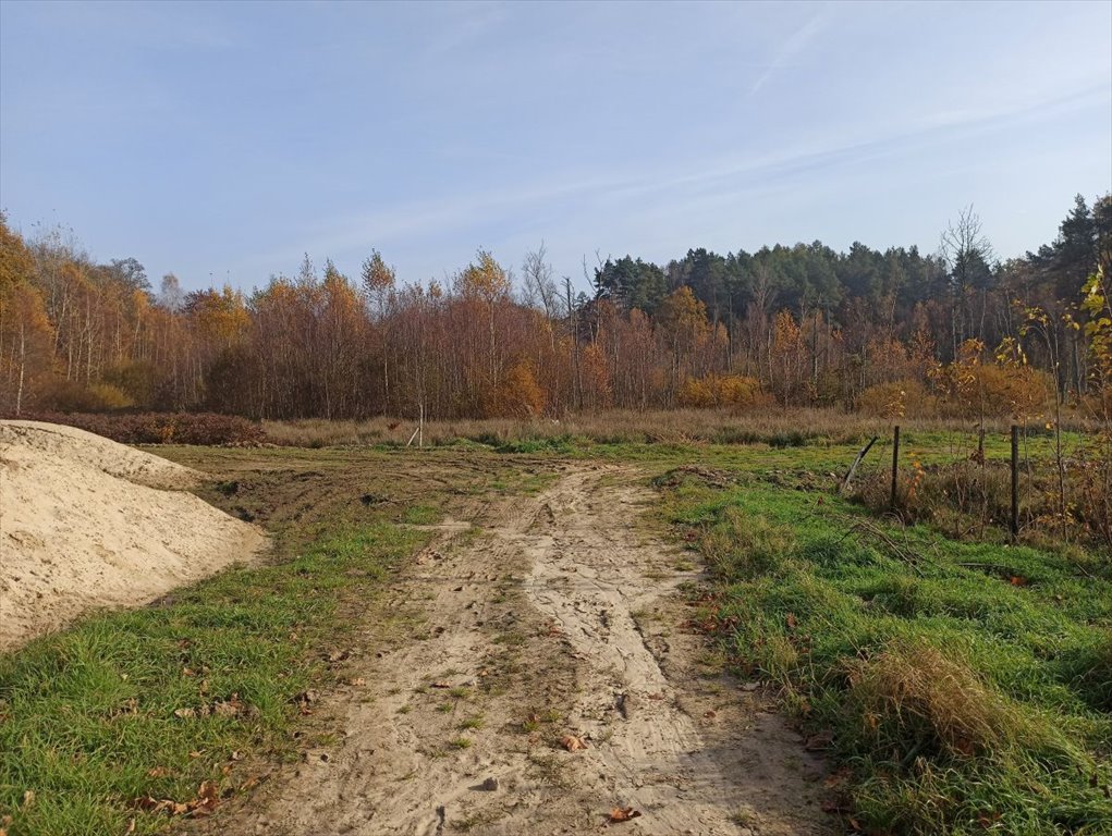 Działka budowlana na sprzedaż Leśniewo, Pucka  4 665m2 Foto 2