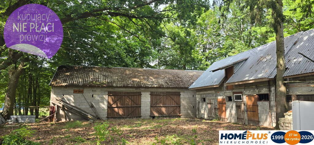 Siedlisko z budynkami i 18 410 m2 ziemi w Chrzęsne Chrzęsne  18 410m2 Foto 1