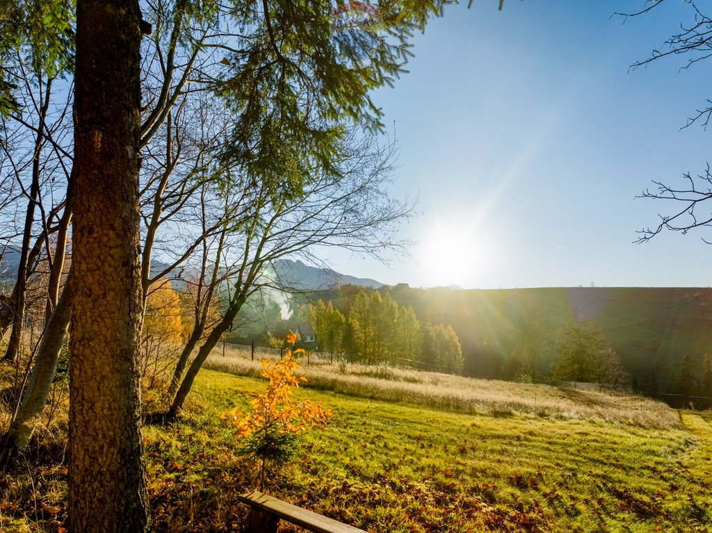 Działka rolna na sprzedaż Zakopane  2 036m2 Foto 10