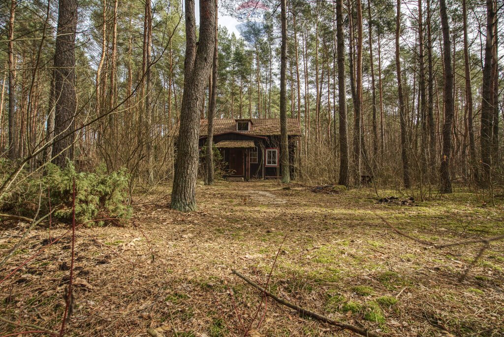 Działka 1900 m² z domkiem w lesie, MPZP, Łosie Łosie, Ptasia  1 900m2 Foto 1