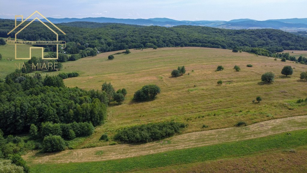 Działka rolna na sprzedaż Łężyny  1 500m2 Foto 9