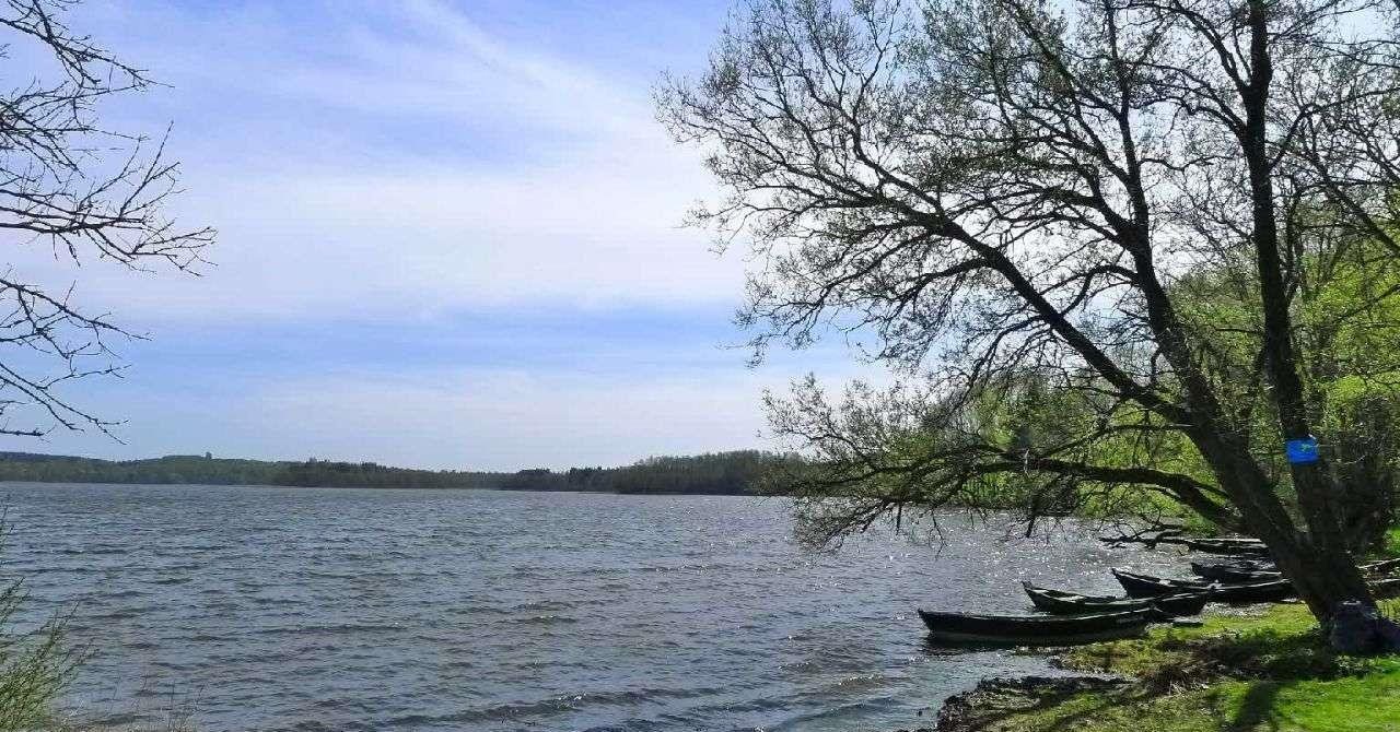 Działka rolna na sprzedaż Szelment  10 000m2 Foto 6