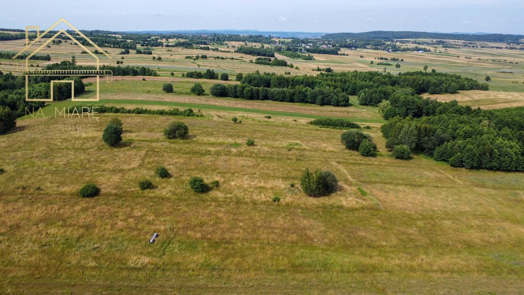 Działka rolna na sprzedaż Łężyny  1 500m2 Foto 6