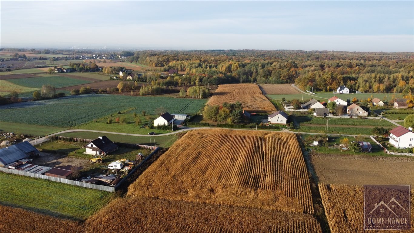 Działka budowlana na sprzedaż Morzychna  7 000m2 Foto 7