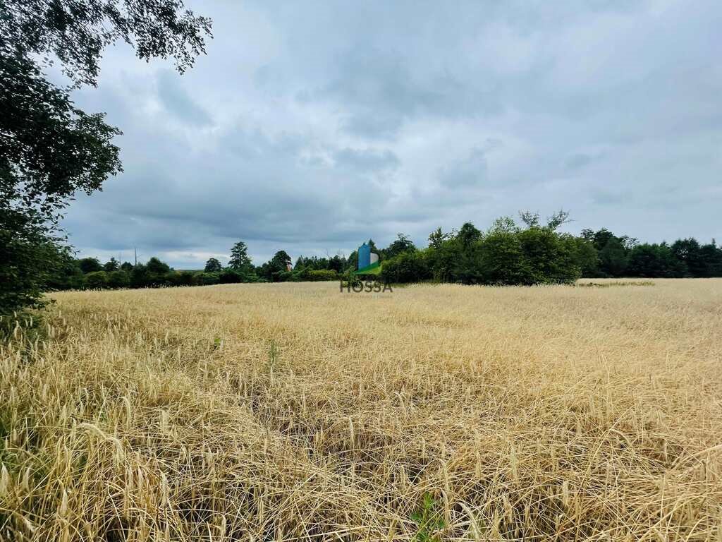 Działka budowlana na sprzedaż Miłkowiec  3 000m2 Foto 6