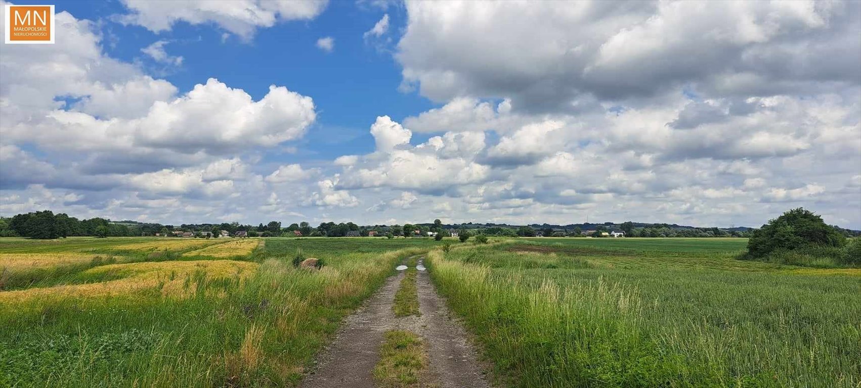 Działka rekreacyjna na sprzedaż Grobla  2 700m2 Foto 2