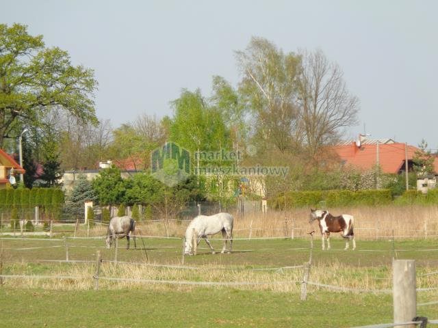Działka budowlana na sprzedaż Sadowa, Wędrowców 5 280m2 Foto 1 Działka budowlana na sprzedaż Sadowa, Wędrowców 5 280m2 Foto 1