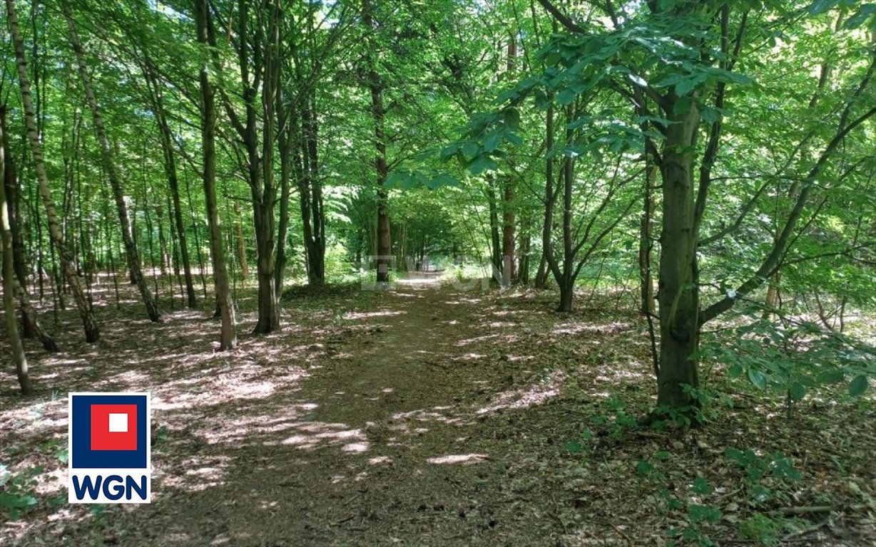 Działka rolna na sprzedaż Kroczyce Okupne, Podlesice  2 600m2 Foto 3