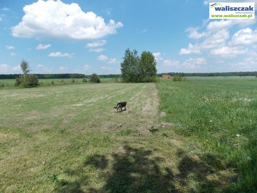 Działka budowlana na sprzedaż Koło  2 200m2 Foto 8