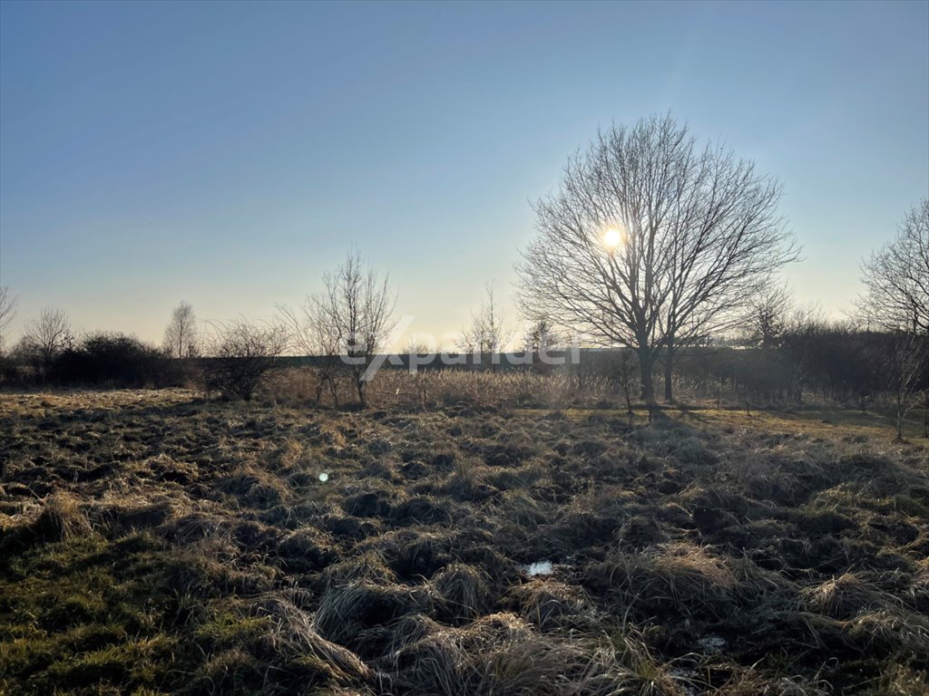 Działka budowlana na sprzedaż Częstochowa, Dźbów, Leśna  2 000m2 Foto 1