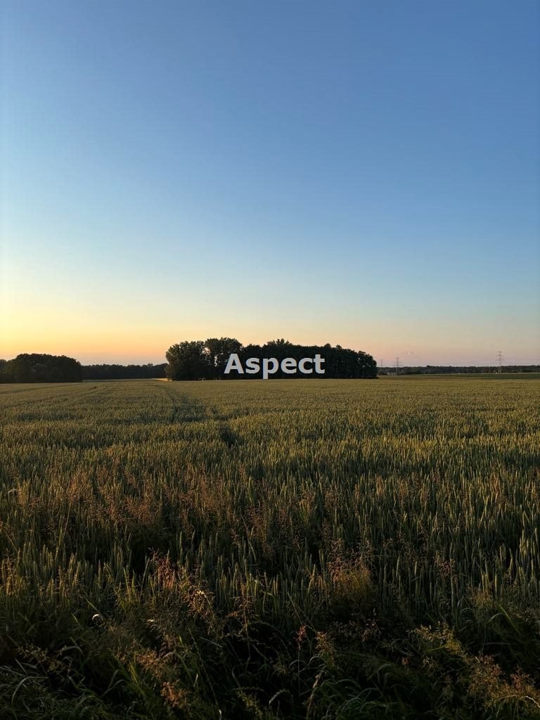 Działka rolna na sprzedaż Pruchna  11 560m2 Foto 1