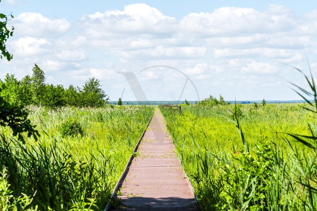 Dom na sprzedaż Goniądz, Nadbiebrzańska  158m2 Foto 14