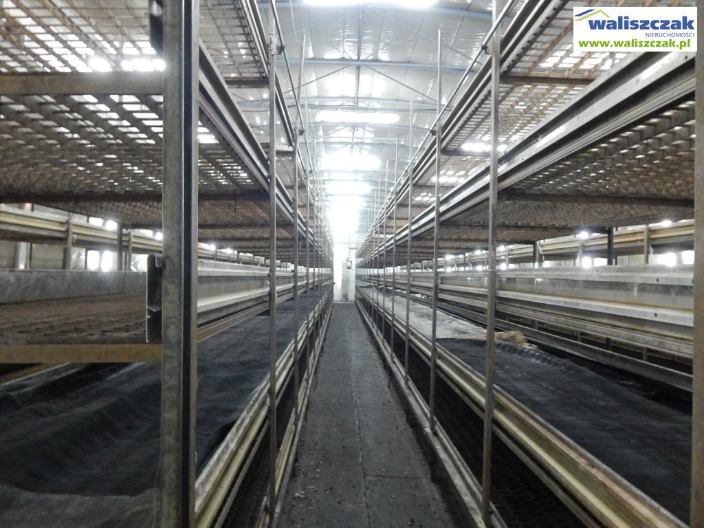 Lokal użytkowy na wynajem Piotrków Trybunalski  360m2 Foto 4