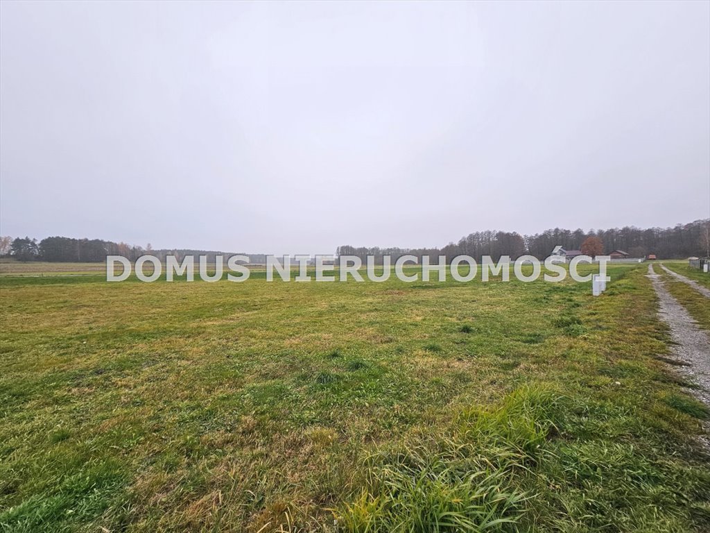 Działka inna na sprzedaż Wola Łokotowa  1 067m2 Foto 2