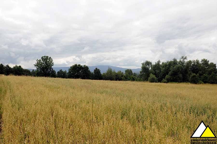 Działka budowlana na sprzedaż Brzeziniec  1 500m2 Foto 14