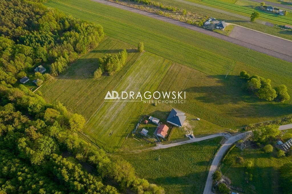 Zdjęcie 5