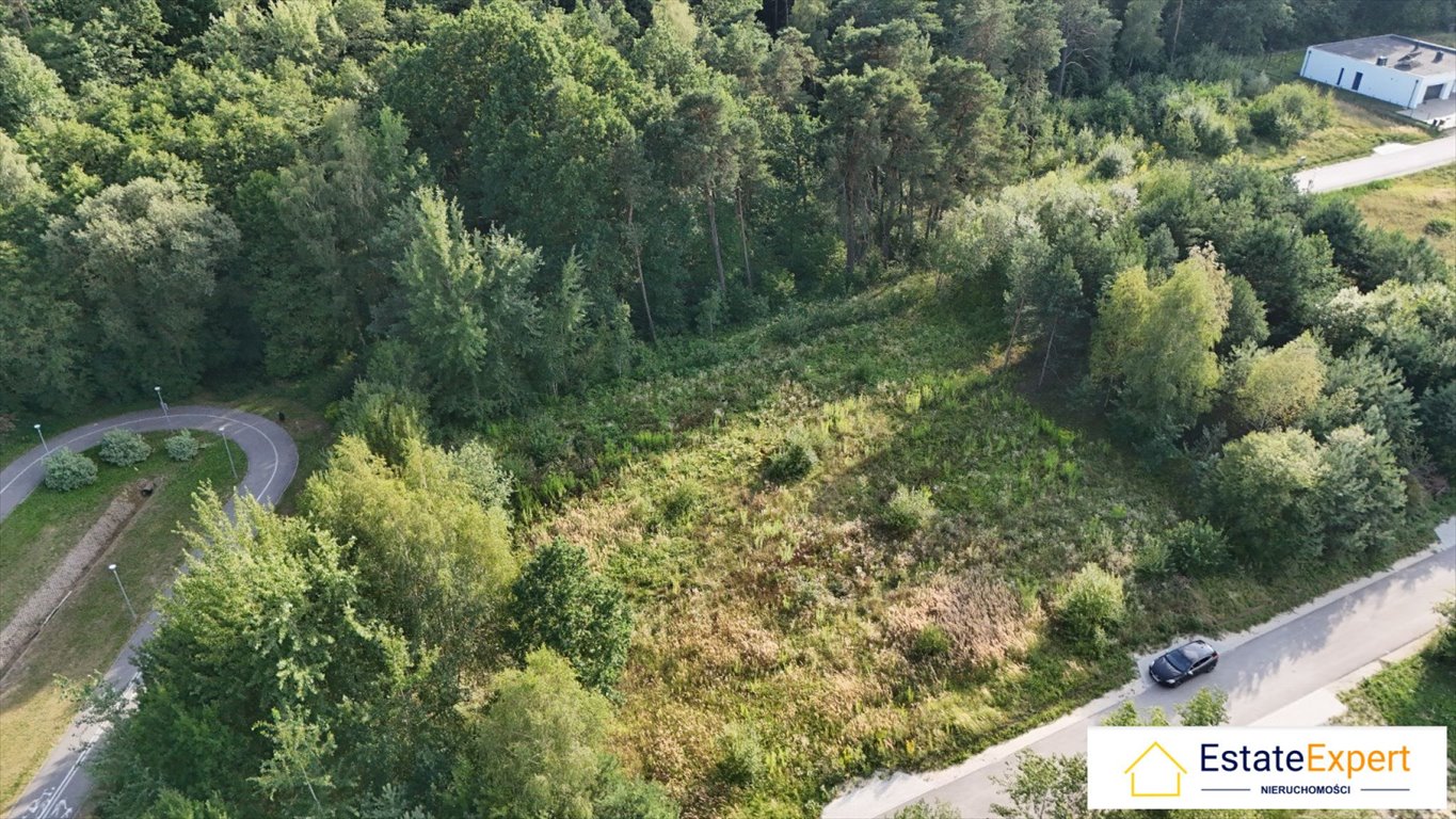 Zdjęcie 7