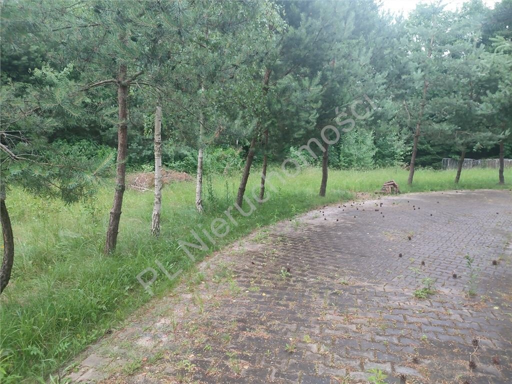 Działka 4200 m² z lasem i infrastrukturą - zapraszam Komorów  4 200m2 Foto 1