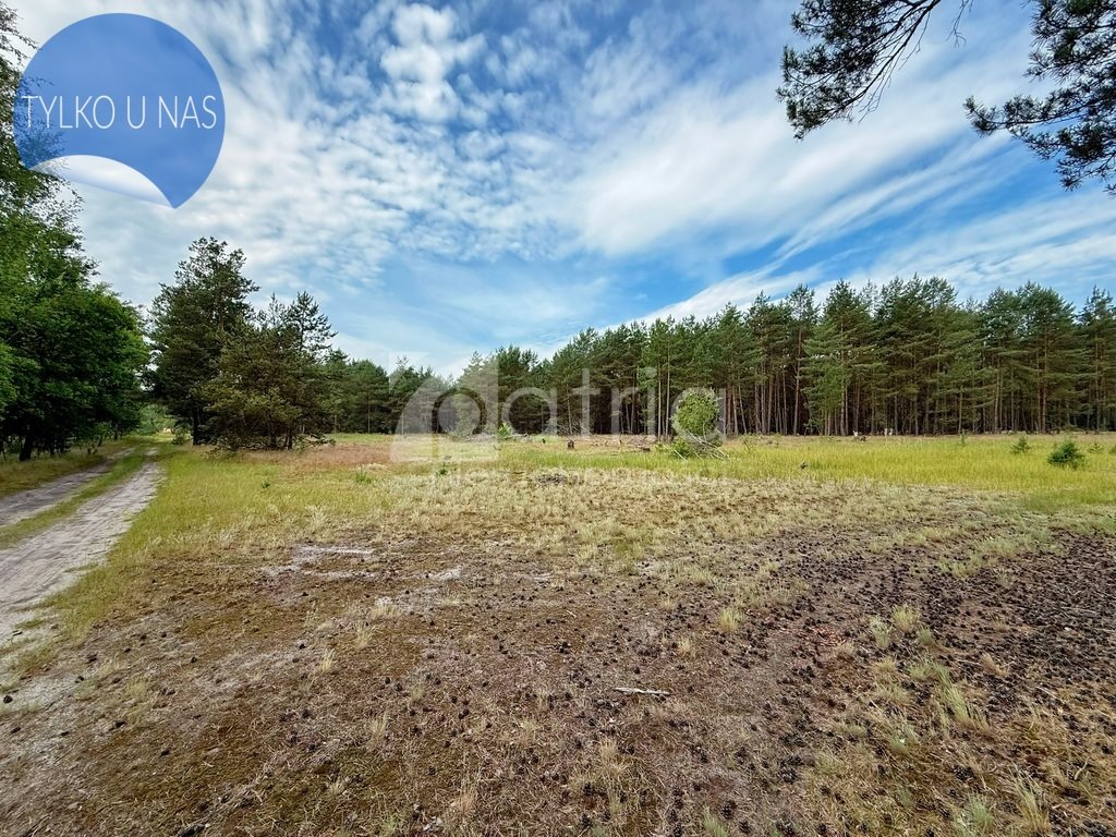 Działka 2,6 ha z lasem i dostępem do drogi. Sowno  26 000m2 Foto 1