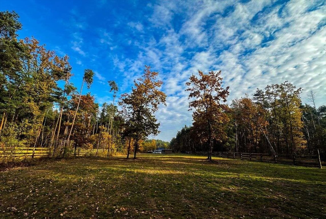 Działka budowlana na sprzedaż Ostrołęka  1 500m2 Foto 11