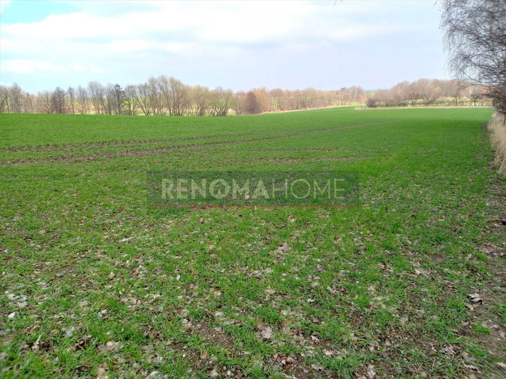 Działka budowlana na sprzedaż Witoszów Górny  1 518m2 Foto 5