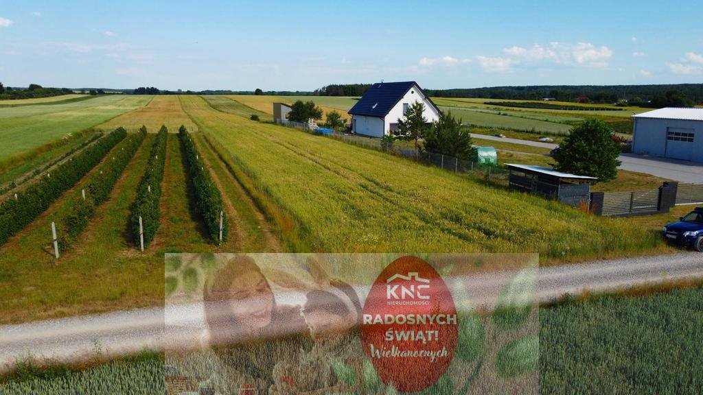 Działka rolna 1,17 ha z warunkami zabudowy w Borów-Kolonii Borów-Kolonia  11 700m2 Foto 1