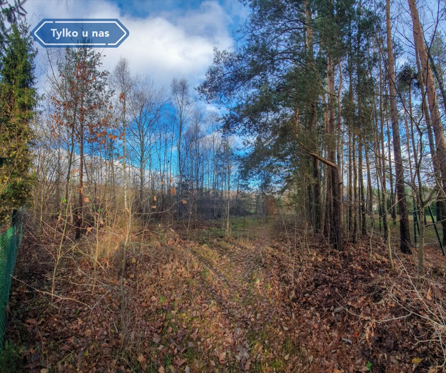 Działka budowlana na sprzedaż Ostrów, Działkowa  1 369m2 Foto 11