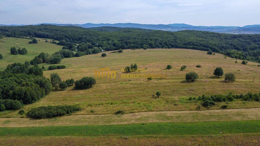 Działka rolna na sprzedaż Łężyny  1 500m2 Foto 10