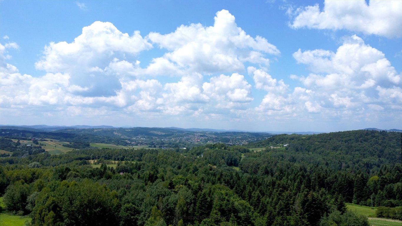 Działka budowlana na sprzedaż Gromnik, Rzepiennik Marciszewski, Rzepiennik Marciszewski, Rzepiennik Marciszewski  3 675m2 Foto 6