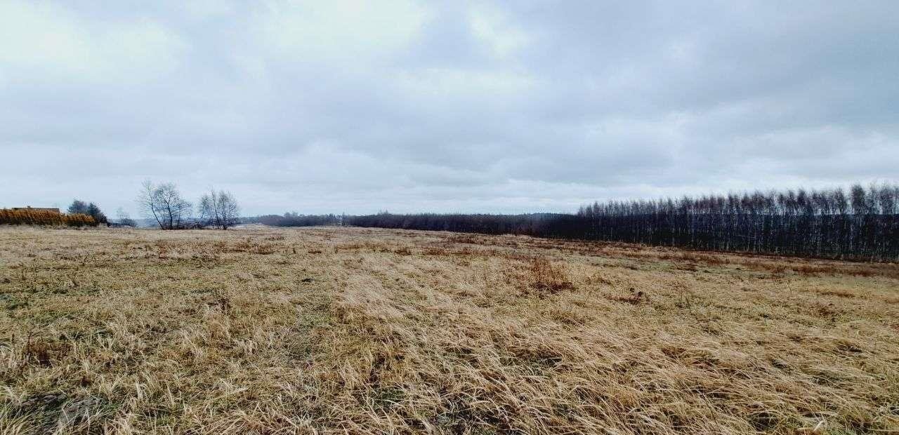 Działka siedliskowa na sprzedaż Wola Kalinowska, ul. Kaliski  1 200m2 Foto 3