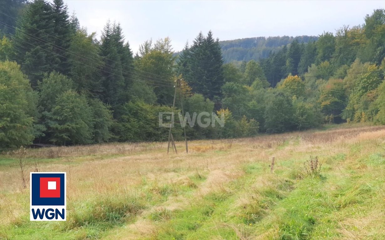 Działka rekreacyjna na sprzedaż Wisła, Jawornik  19 000m2 Foto 3