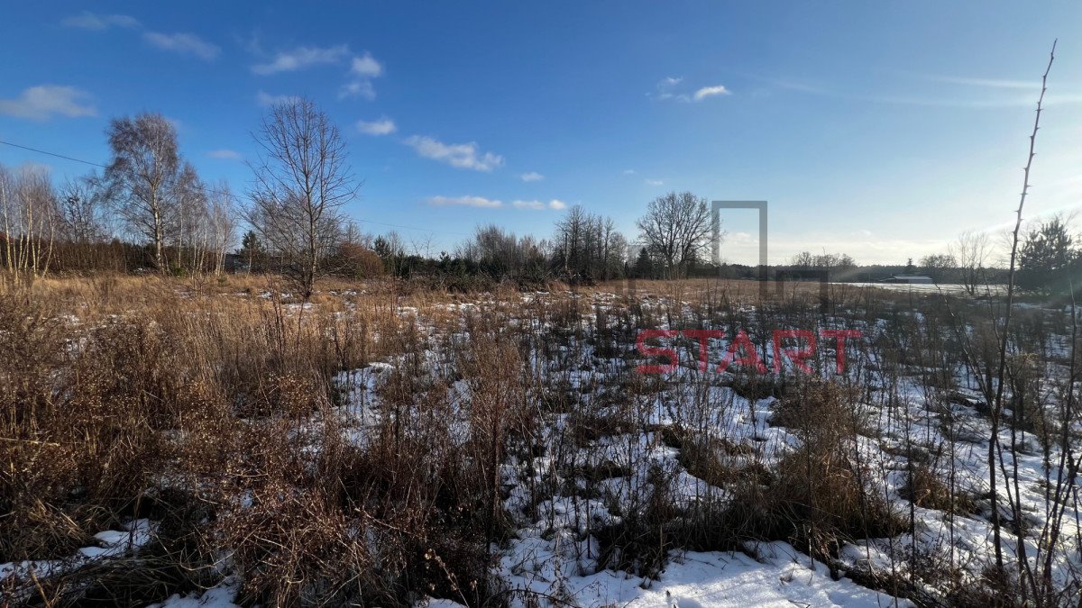 Działka przemysłowo-handlowa na sprzedaż Stary Karolinów  21 500m2 Foto 9