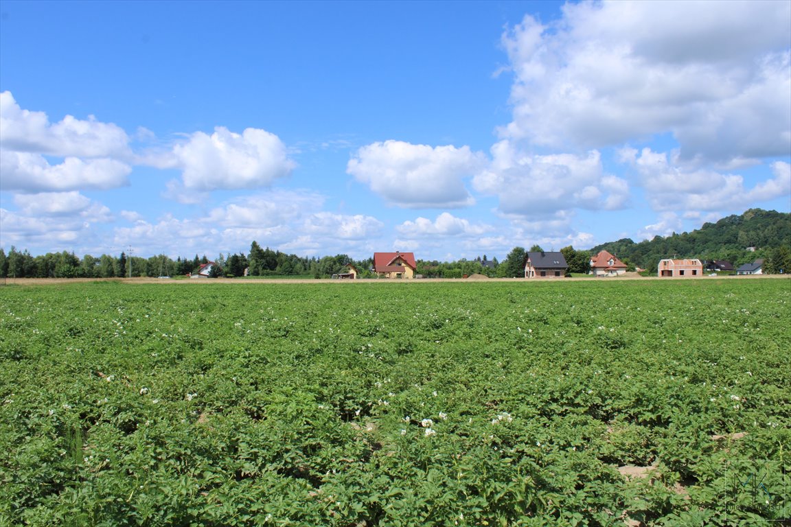 Działka budowlana na sprzedaż Winiary  10 200m2 Foto 3