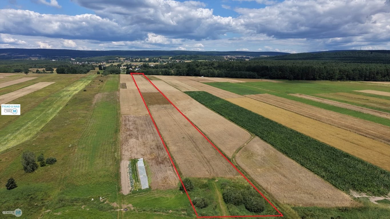 Zapraszam do obejrzenia działki inwestycyjnej 18 000 m² w Belnie Bieliny, Belno  17 918m2 Foto 1