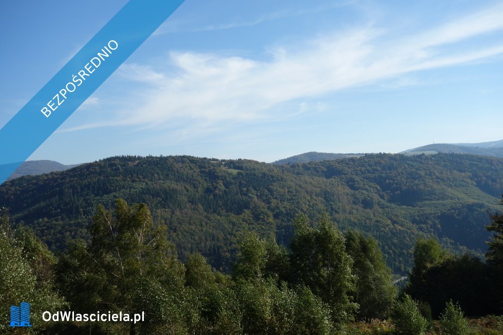 Działka inwestycyjna 25 300 m2 pod pensjonaty i agroturystykę Brenna  25 300m2 Foto 1