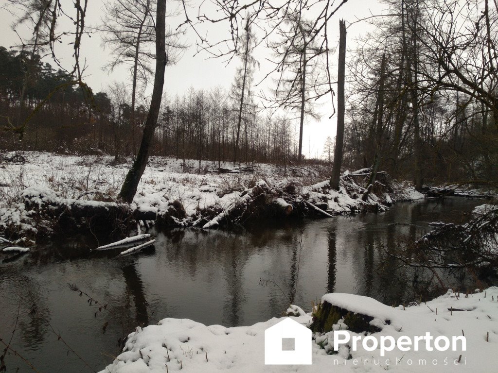 Działka rekreacyjna na sprzedaż Cieśle  3 000m2 Foto 2