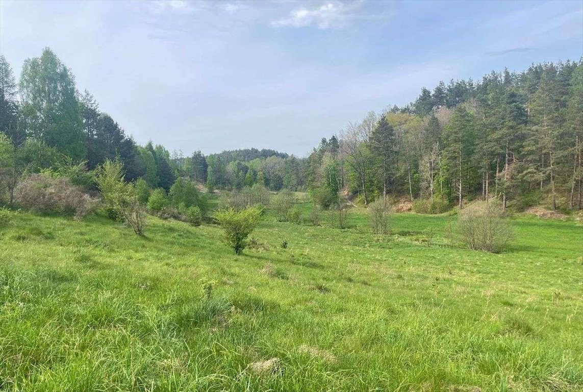 Sprzedam działkę budowlaną 42 m² w Koleczkowie blisko natury Koleczkowo, Bitwy nad Ślężą  2 551m2 Foto 1