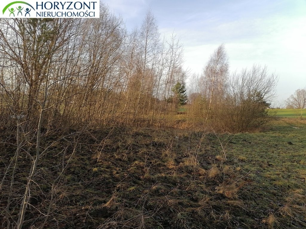 Działka 3623 m² z mediami pod dom w Szarłacie - zapraszam Szarłata  3 623m2 Foto 1