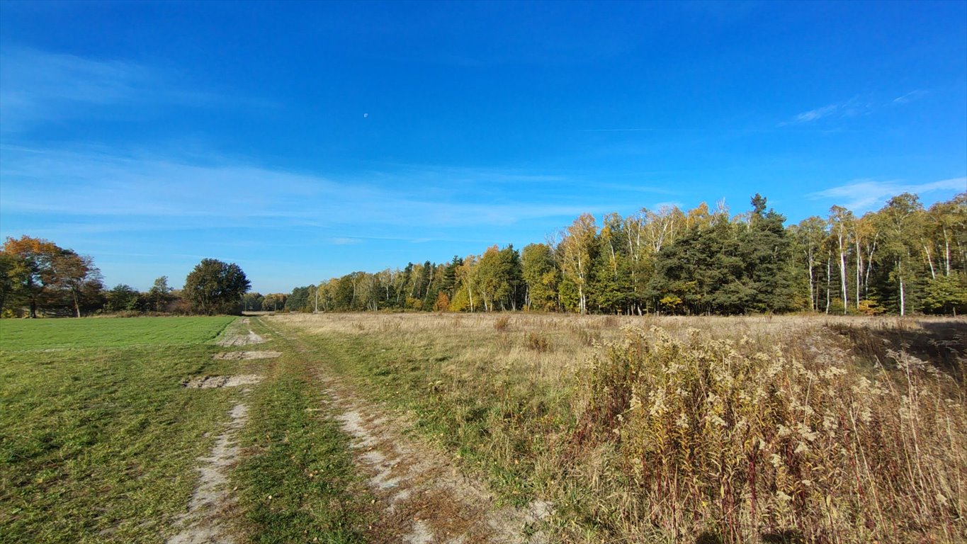 Działka budowlana na sprzedaż Brzozowica, Brzozowica  830m2 Foto 19